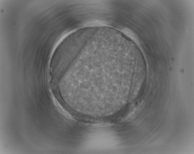 X0000071761008200607282143