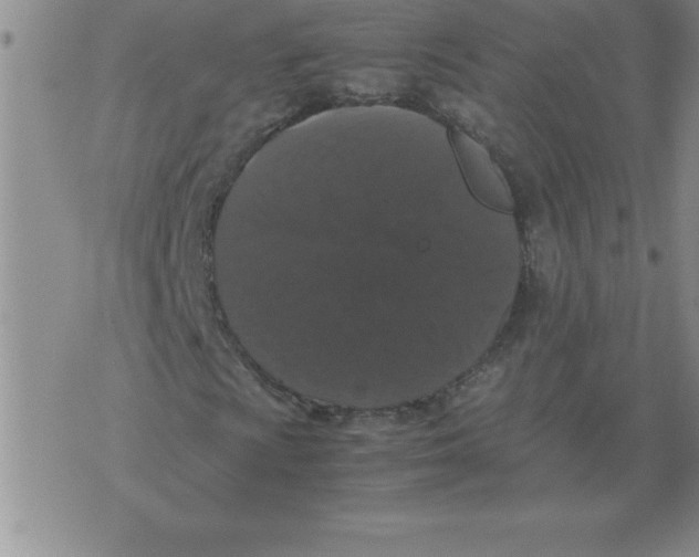 X0000071761009200607282142