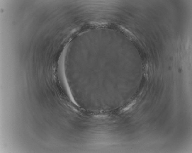 X0000071761010200607282142