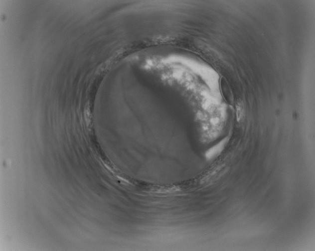 X0000071761011200607282142