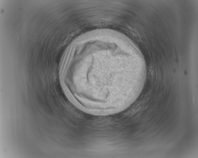 X0000071761012200607282142