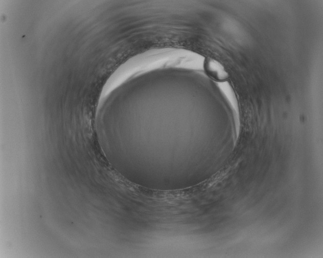 X0000071761013200607282142