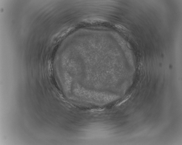 X0000071761014200607282142