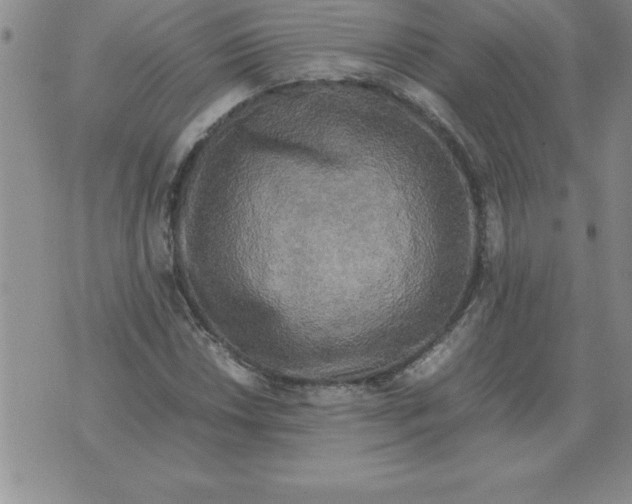 X0000071761018200607282142