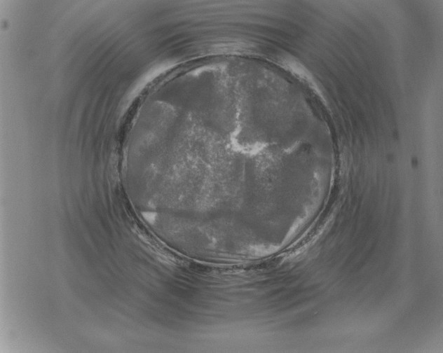 X0000071761019200607282142