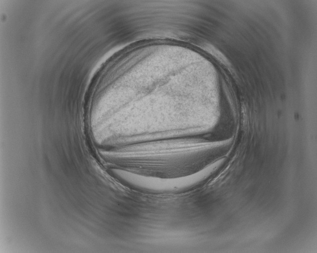 X0000071761020200607282142