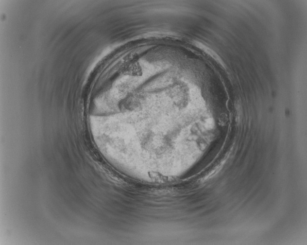 X0000071761021200607282142