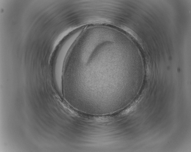 X0000071761022200607282142