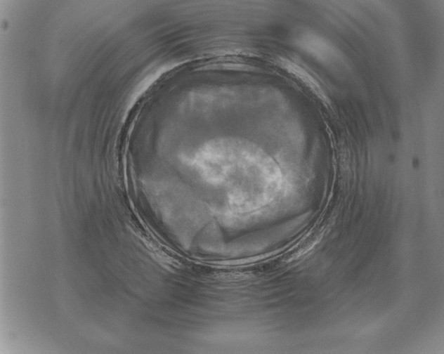 X0000071761023200607282142