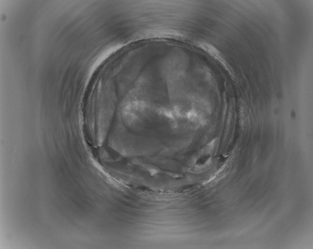 X0000071761024200607282142