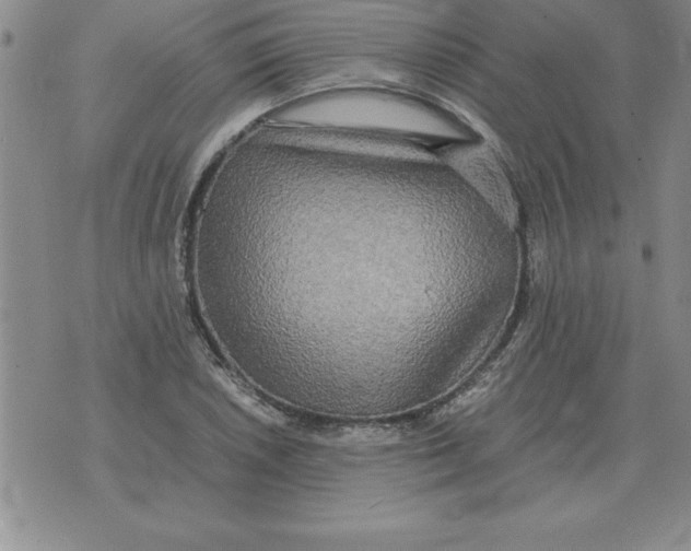 X0000071761026200607282142