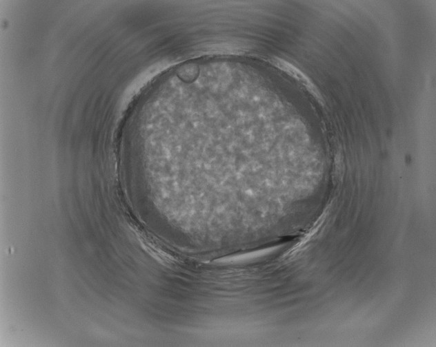 X0000071761027200607282142