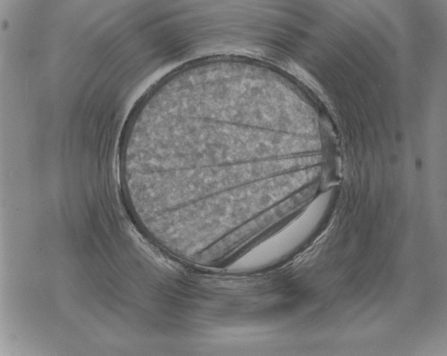 X0000071761028200607282142