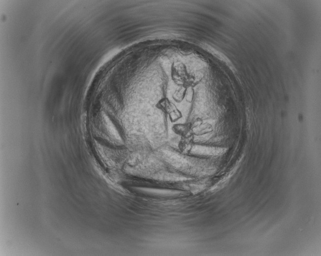 X0000071761029200607282142