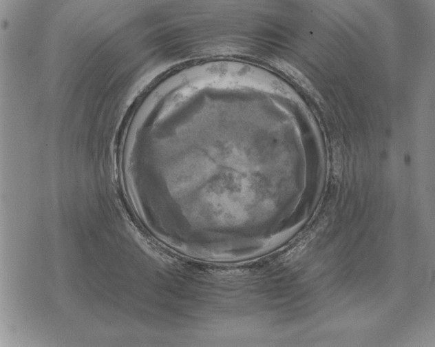 X0000071761031200607282142