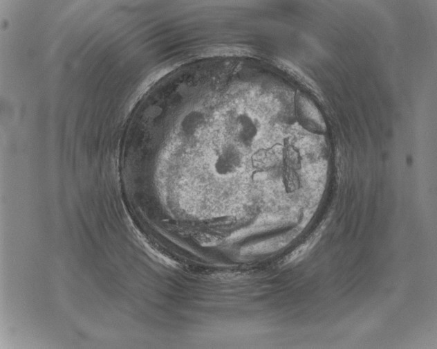 X0000071761033200607282143