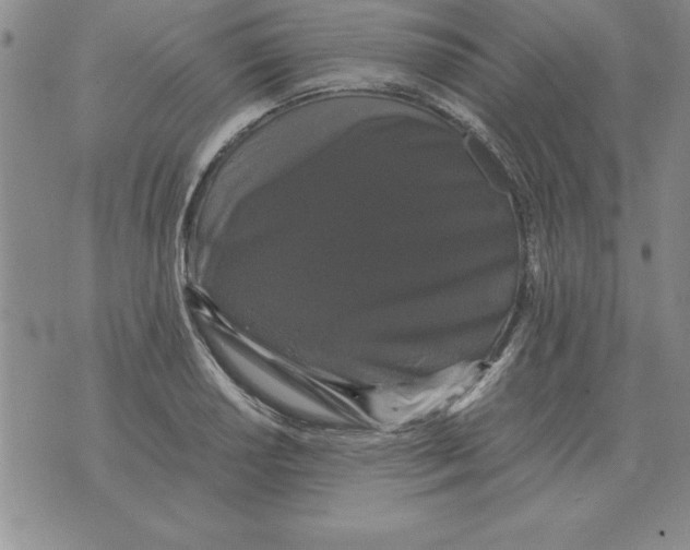 X0000071761034200607282143