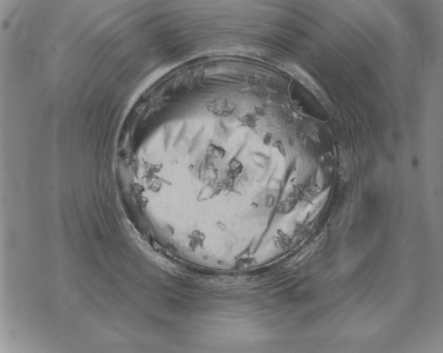 X0000071761036200607282143