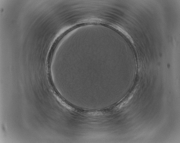 X0000071761037200607282143