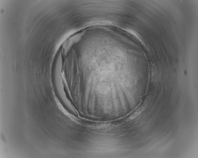 X0000071761038200607282143