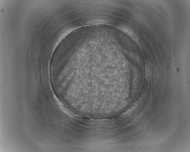 X0000071761039200607282143