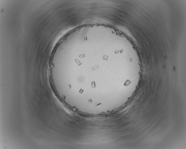 X0000071761040200607282143