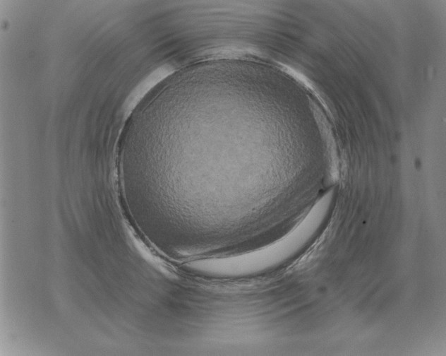 X0000071761042200607282143