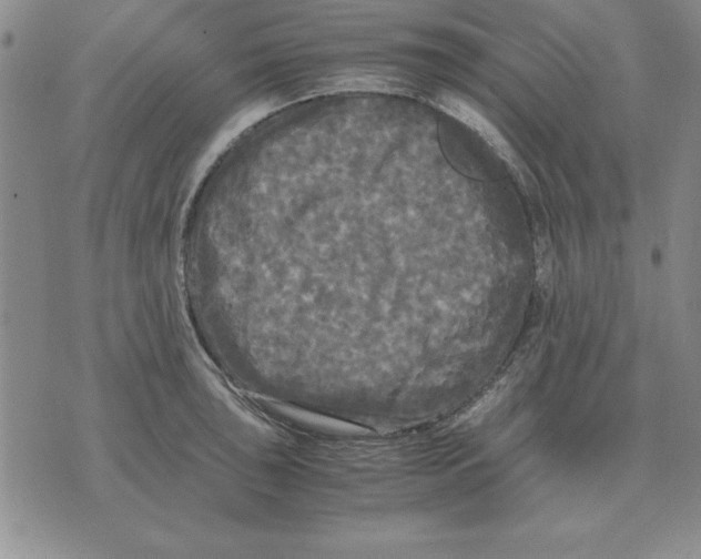 X0000071761043200607282143