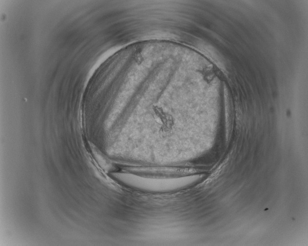 X0000071761044200607282143