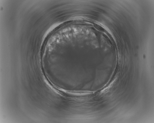 X0000071761045200607282143