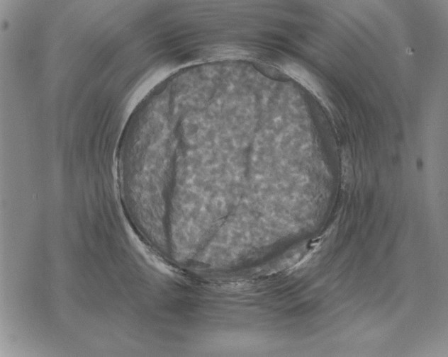 X0000071761047200607282143