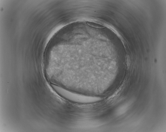 X0000071761048200607282143