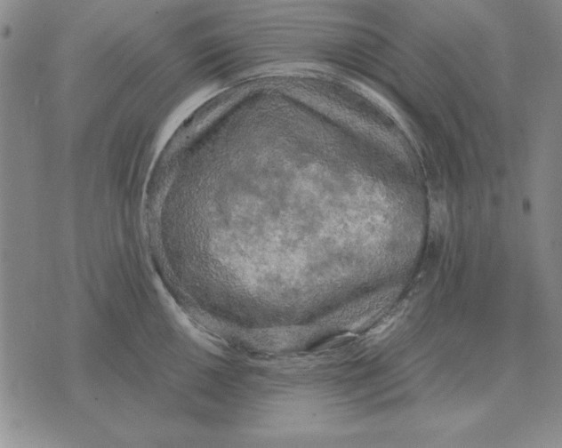 X0000071761050200607282143