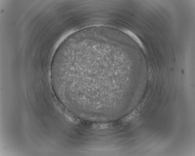 X0000071761051200607282143