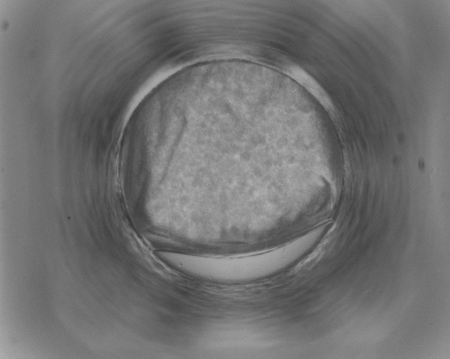 X0000071761052200607282143