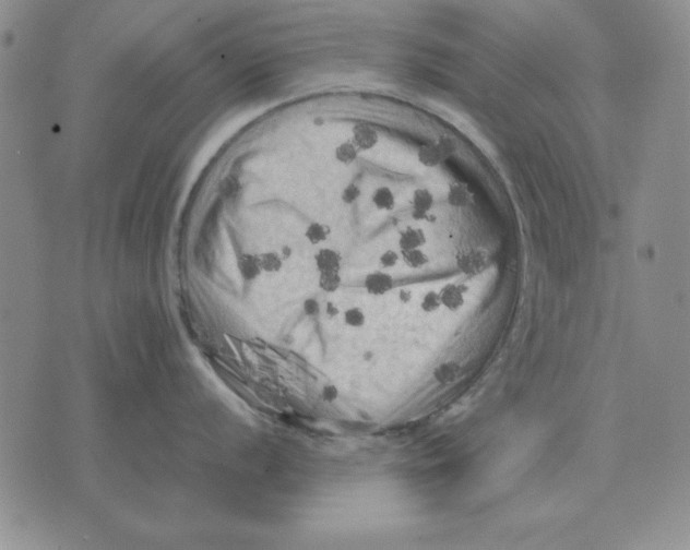 X0000071761056200607282143