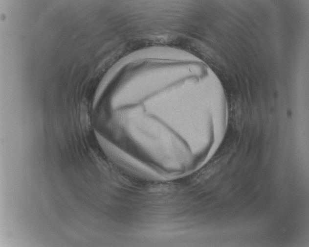 X0000071761058200607282142