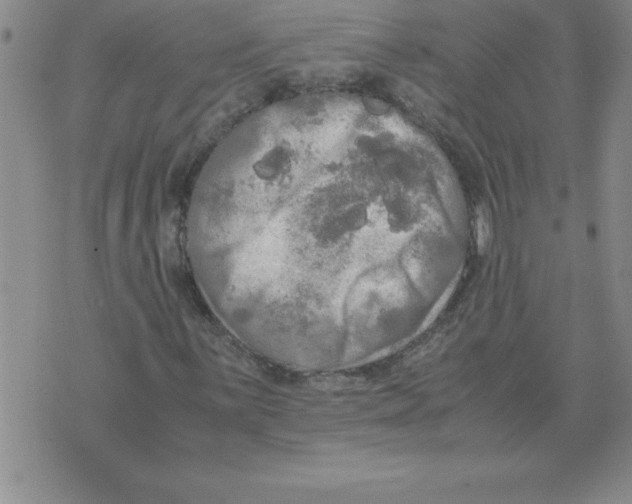 X0000071761059200607282142