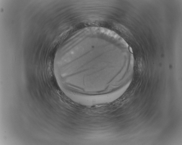 X0000071761060200607282142