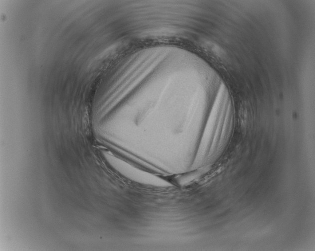 X0000071761062200607282142