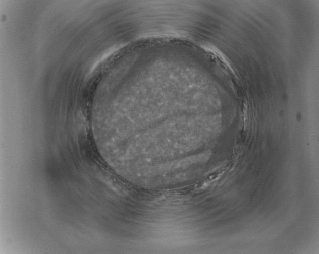 X0000071761064200607282142