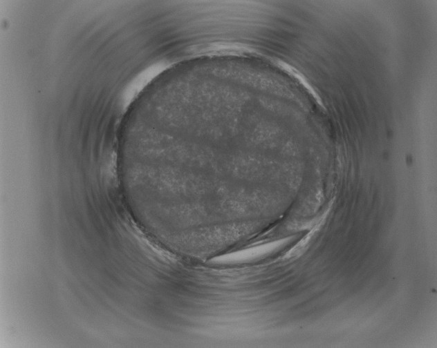 X0000071761066200607282142