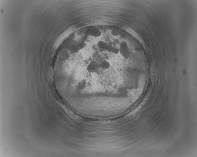 X0000071761067200607282142