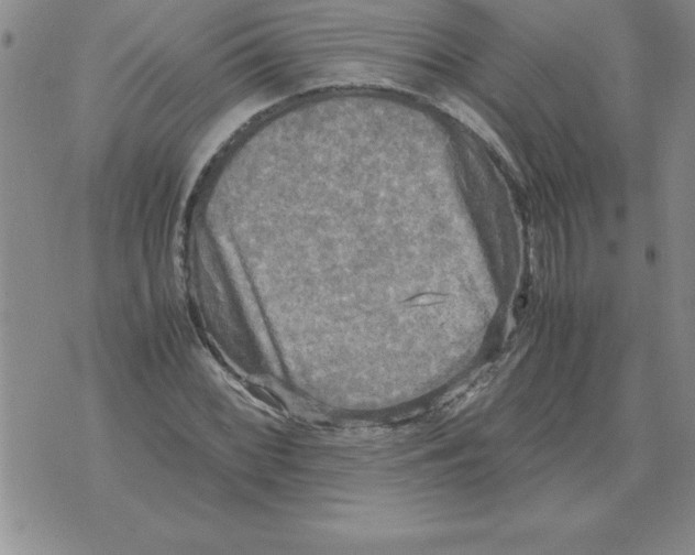 X0000071761068200607282142