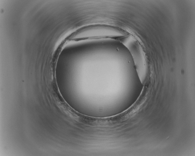 X0000071761069200607282142