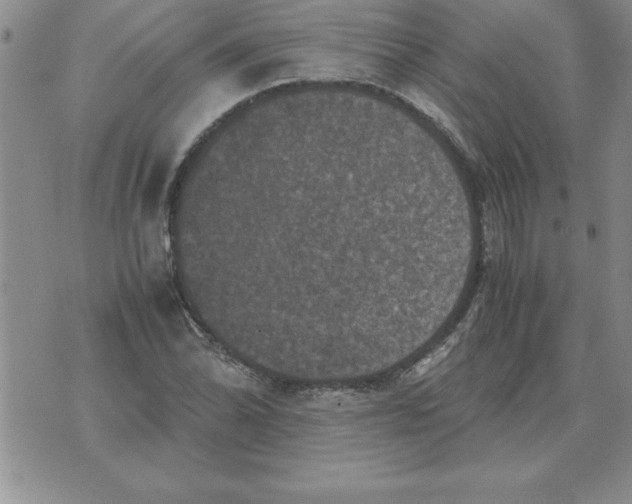 X0000071761070200607282142