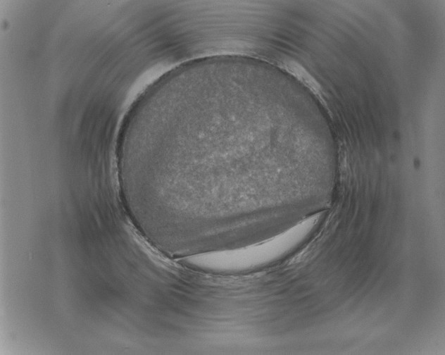 X0000071761072200607282142