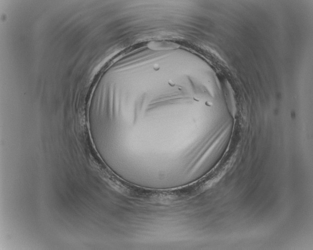 X0000071761073200607282142