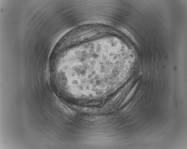 X0000071761076200607282142