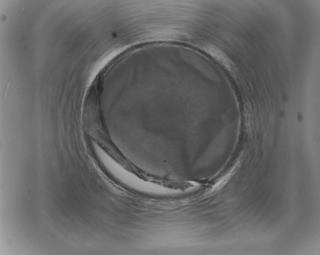 X0000071761077200607282142